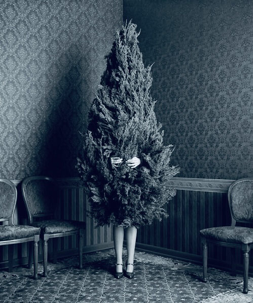 digiorgio_0_portada [PENDIENTE] --- Portada del texto 'Camino de las pedrerías' por Marosa di Giorgio