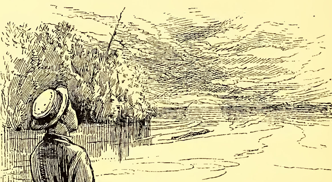 [alfonso_1_contemplación]